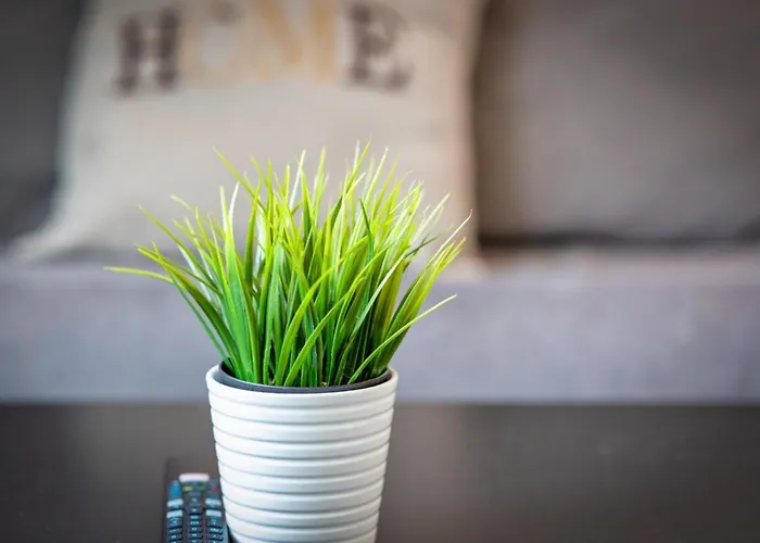 Le Cocoon Proche Du Vieux Marche Apartamento Ruan